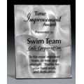 Large Nocturne Stainless Plaque
